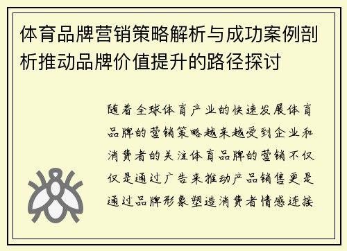 体育品牌营销策略解析与成功案例剖析推动品牌价值提升的路径探讨