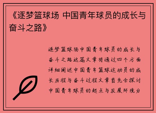 《逐梦篮球场 中国青年球员的成长与奋斗之路》
